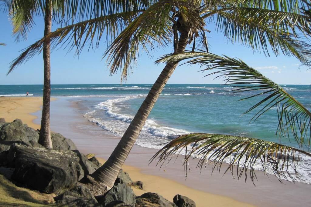 Comfortable And Affordable Deal Close To Beach And Rainforest Rio Grande Exterior foto